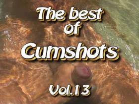Vorschaubild vom Amateurporno mit dem Titel "The Best of Cumshots Vol.13" von blackela