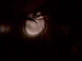 Vorschaubild vom Privatporno mit dem Titel "Nachts bei Taschernlampenlicht" von malvina13