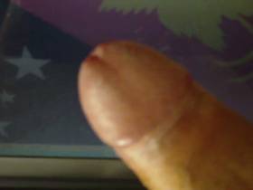 Vorschaubild vom Amateurporno mit dem Titel "Bildschirmfick - Papaneuguinea" von GeilerTiroler28