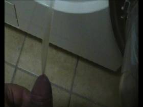 Vorschaubild vom Amateurporno mit dem Titel "Pisse in die Waschmaschine" von dani5566