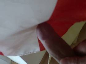 Vorschaubild vom Amateurporno mit dem Titel "Geil auf die Fahne gespritzt - Userwunsch" von GeilerTiroler28