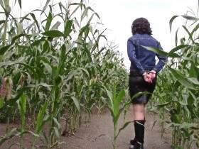 Vorschaubild vom Amateurporno mit dem Titel "Lost in the cornfield" von bondageangel