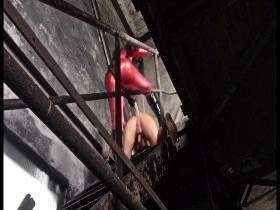 Vorschaubild vom Amateurporno mit dem Titel "Lady in red - Durchgefickt" von SMBoy