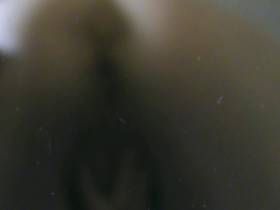 Vorschaubild vom Amateurporno mit dem Titel "Userwunsch - Muschi zeigen und auf Toilette gehen  " von crazydesire86