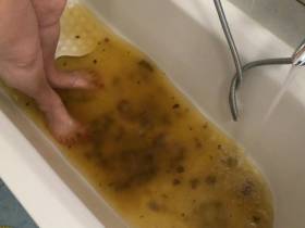 Vorschaubild vom Amateurporno mit dem Titel "Poop in der Badewanne" von PornOrgasmi