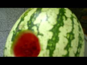 Vorschaubild vom Amateurporno mit dem Titel "Melone gefickt" von Duftfan
